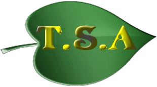 TSA��HP