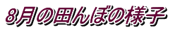 8���̓c��ڂ̗l�q 