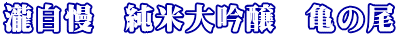 �뎩���@���đ����@�T�̔� 