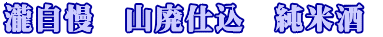 �뎩���@�R�p�d���@���Ď� 