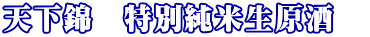 �V���с@���ʏ��Đ������@