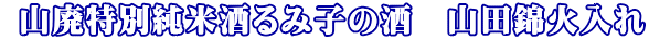  �R�p���ʏ��Ď���ݎq�̎��@�R�c�щΓ���