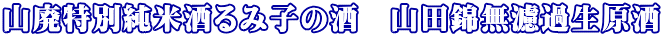 �R�p���ʏ��Ď���ݎq�̎��@�R�c�і��h�ߐ�����