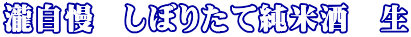 �뎩���@���ڂ肽�ď��Ď��@��