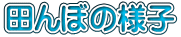 �c��ڂ̗l�q