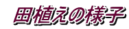  �c�A���̗l�q