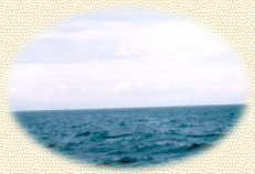 �C�Ƌ�