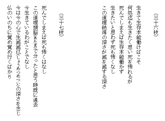 �V���̎}�܂�052