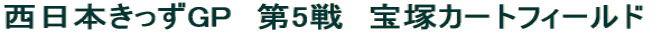 �����{������GP�@��5��@��˃J�[�g�t�B�[���h