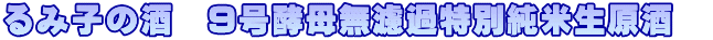 ݎq̎@9yꖳhߓʏĐ@