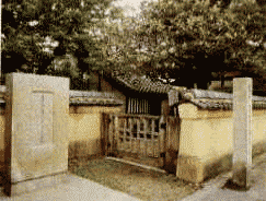 �m�ԉ�����