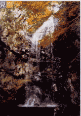 �����̑�