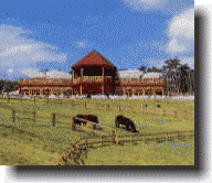 ���N���N��Â���t�@�[��