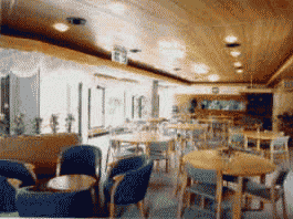 ���r�[�E�_�C�j���O���[��