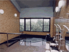 �Ȃ��߂̂悢�W�]���C