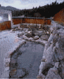 �I�V���̓�