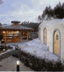 �o��q���C