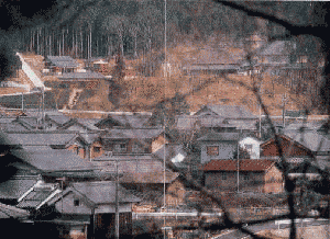 ��R�c����