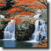 �Ԗڎl�\����i�גS��j