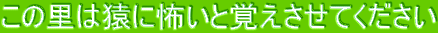 ���̗��͉��ɕ|���Ɗo�������Ă�������