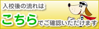 入校後の流れ（免許取得まで）